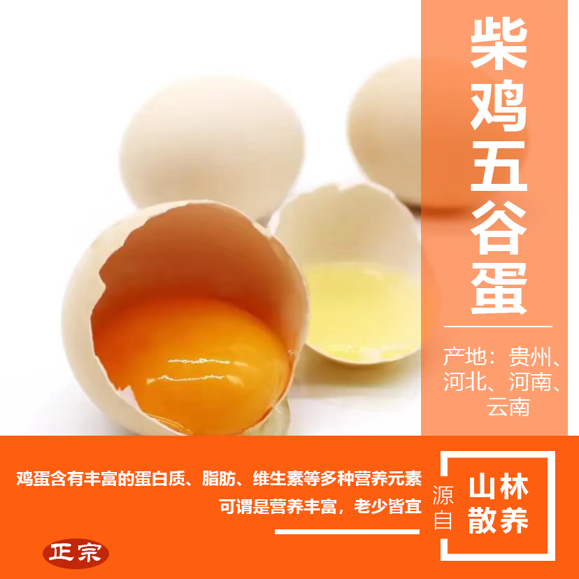 自家山林散養柴雞五谷蛋，小時候的味道